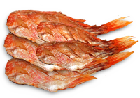 Rotbarsch o/Kopf gesalzen und getr. 4kg Karton,(Sebastes...