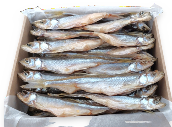 Stinten ganz ,gesalzen und getrocknet 500gr XL