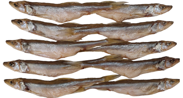 Stinten ganz - gesalzen und getrocknet, 12 cm+