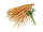 Calmarino`S "Kabeljau 3kg